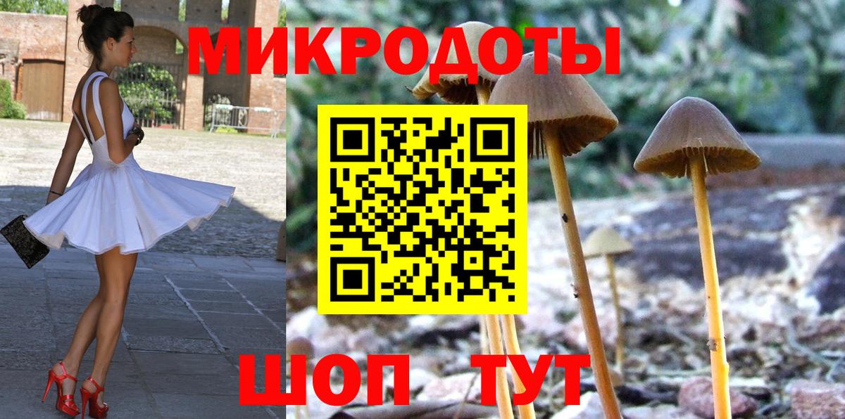 Галлюциногенные грибы MAGIC MUSHROOMS Людиново